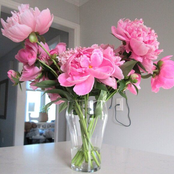 Canon Powershot A2200 14.1 MP Digital Camera 4X Zoom Blue Charger Battery Case - Picture 10 of 14